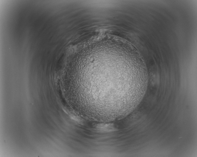 X0000066940375200603241148