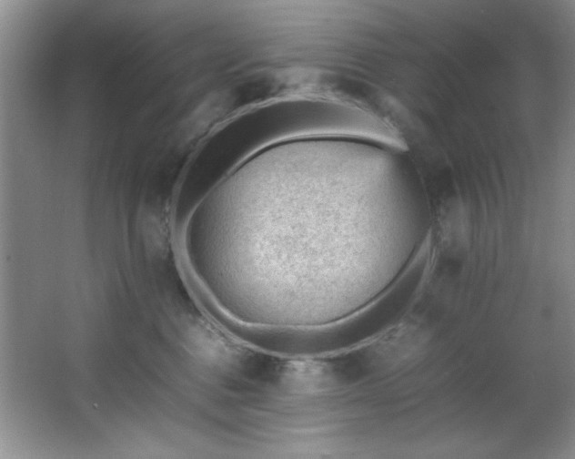 X0000066940376200603241148