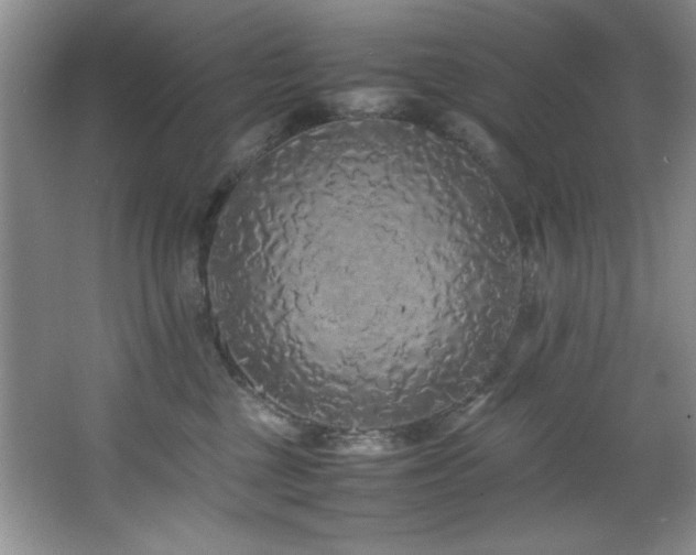 X0000066940377200603241148