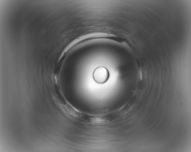 X0000066940380200603241148