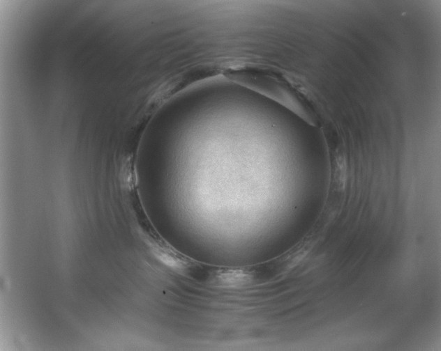 X0000066940383200603241148