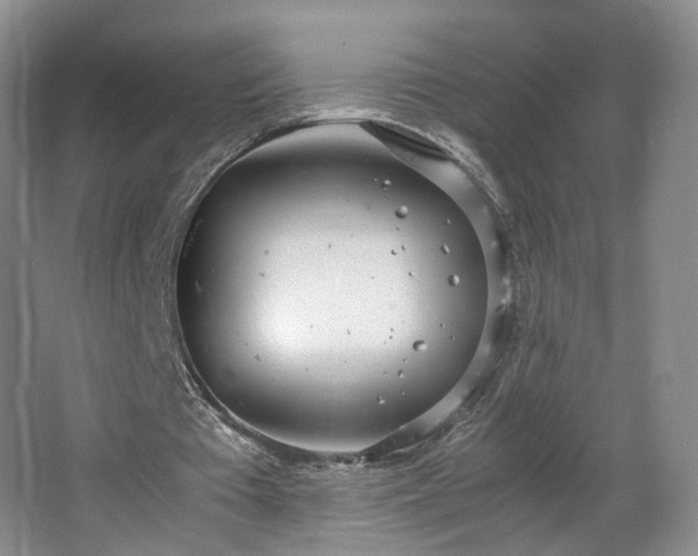 X0000066940385200603241148