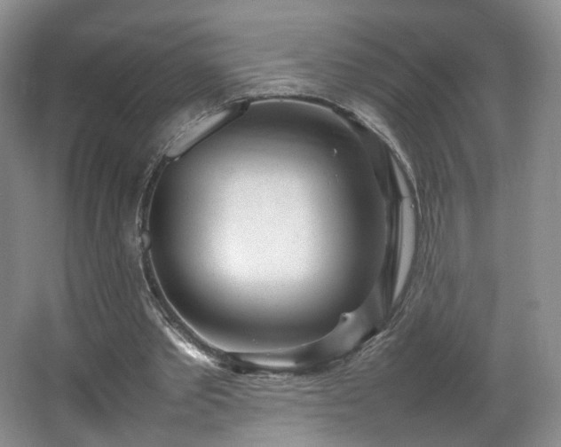 X0000066940389200603241147