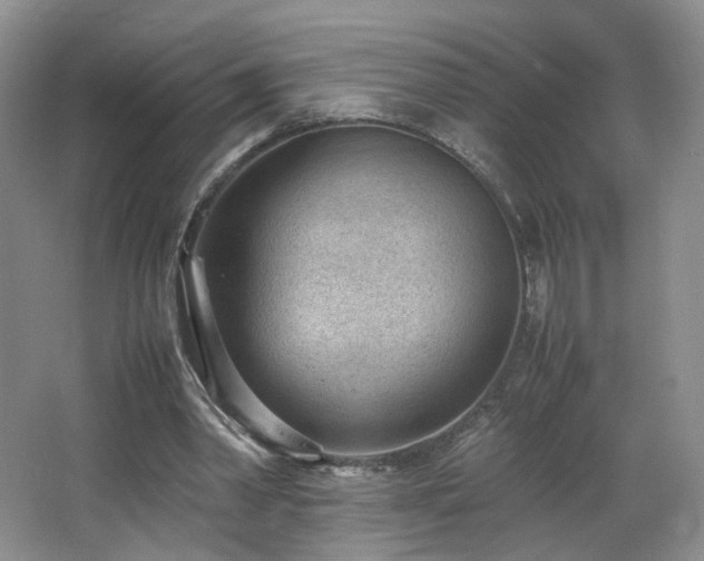 X0000066940390200603241147