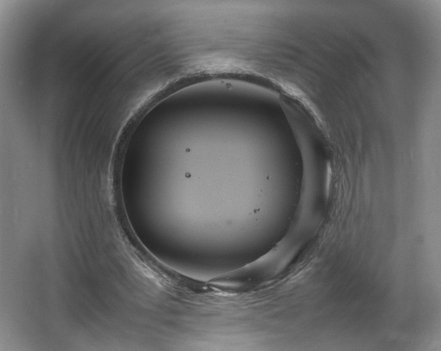 X0000066940391200603241147