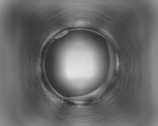 X0000066940392200603241147