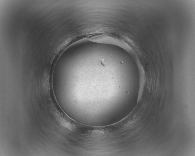 X0000066940394200603241147