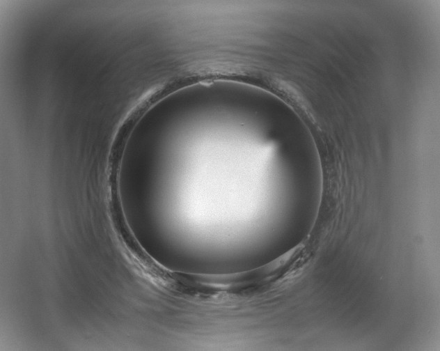 X0000066940395200603241147