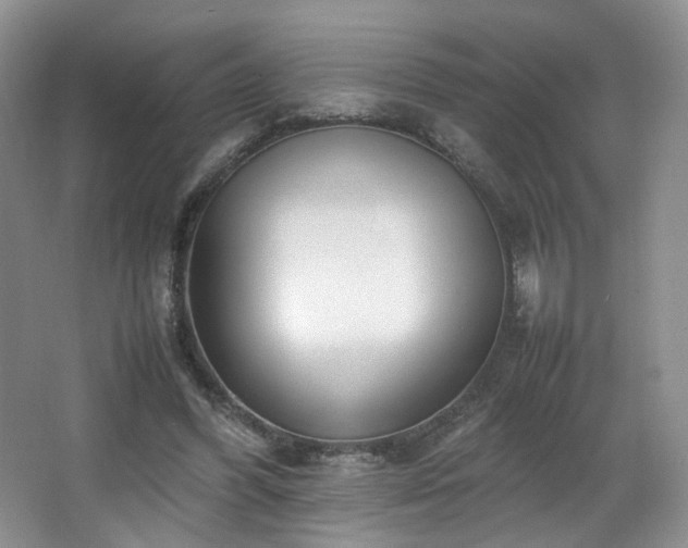 X0000066940396200603241147