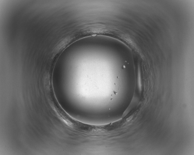 X0000066940397200603241147