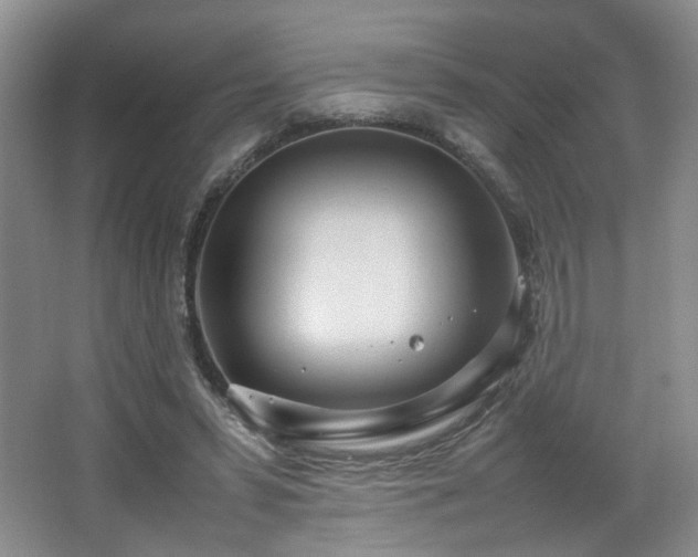 X0000066940399200603241147