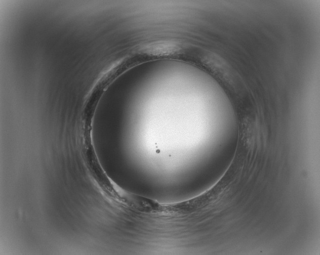 X0000066940400200603241147