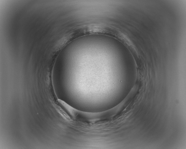 X0000066940401200603241147