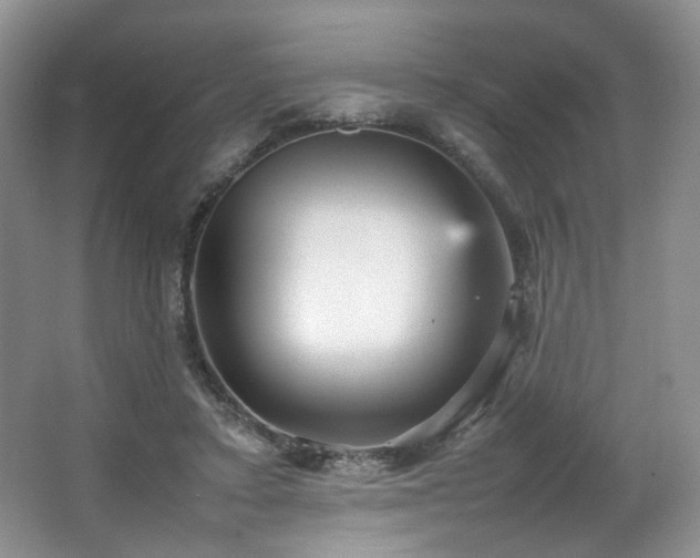 X0000066940403200603241147