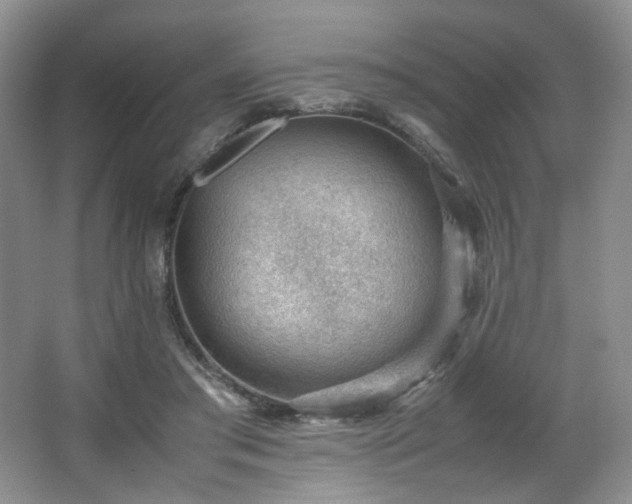 X0000066940405200603241147