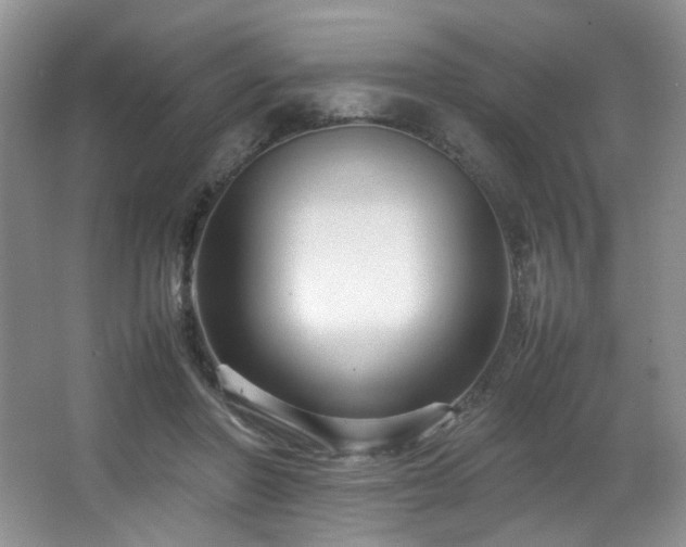 X0000066940406200603241147