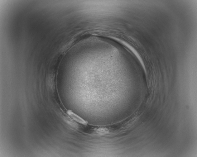 X0000066940409200603241147