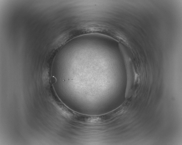 X0000066940410200603241147