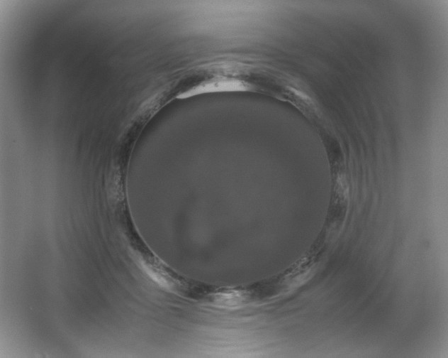 X0000066940411200603241147