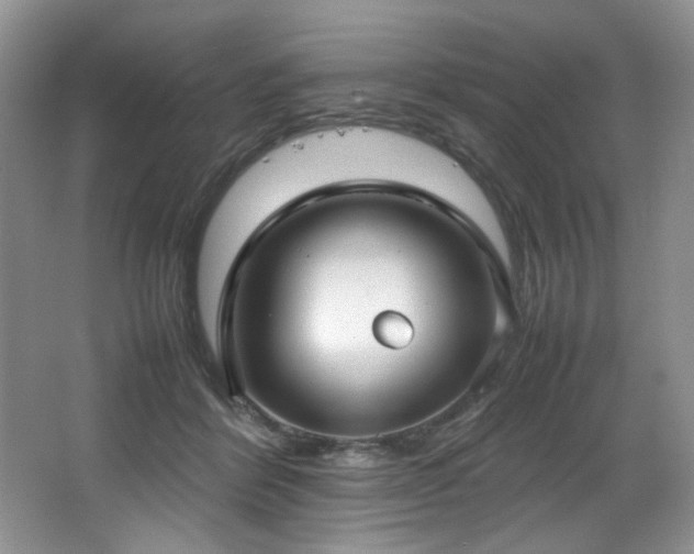 X0000066940412200603241147