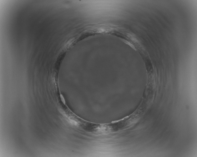 X0000066940415200603241147