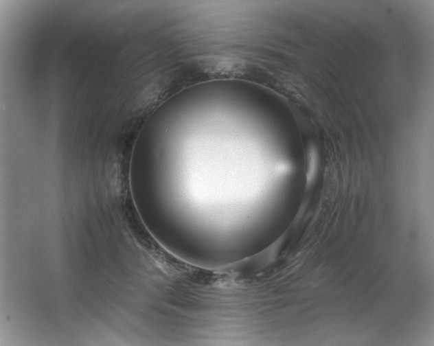 X0000066940416200603241147