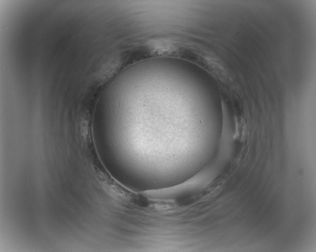 X0000066940417200603241147