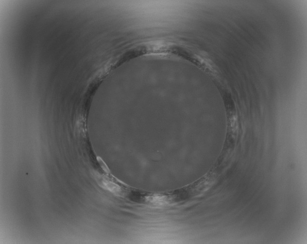 X0000066940419200603241147