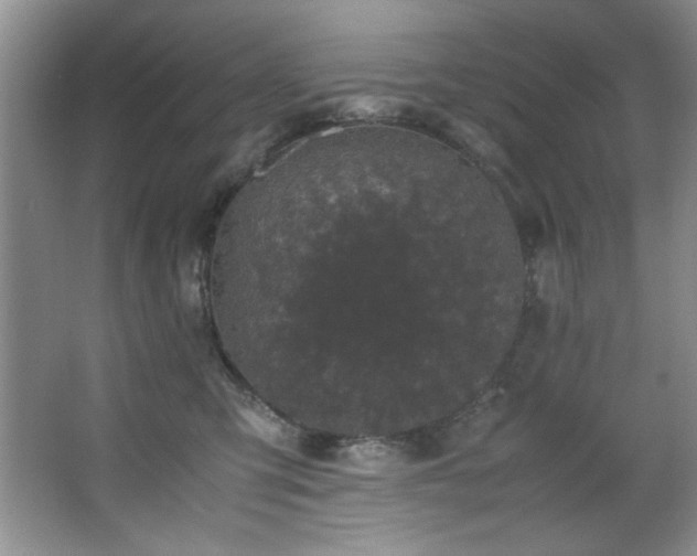 X0000066940423200603241147