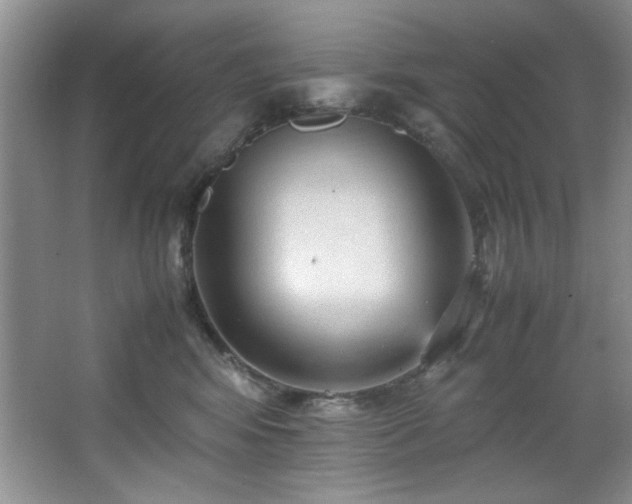 X0000066940424200603241147