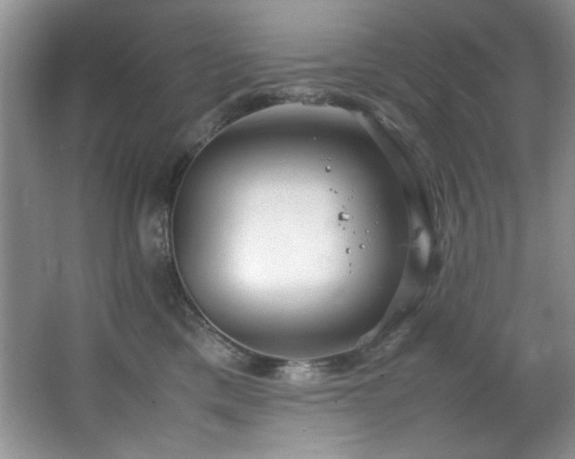 X0000066940425200603241147