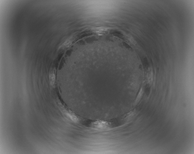 X0000066940427200603241147