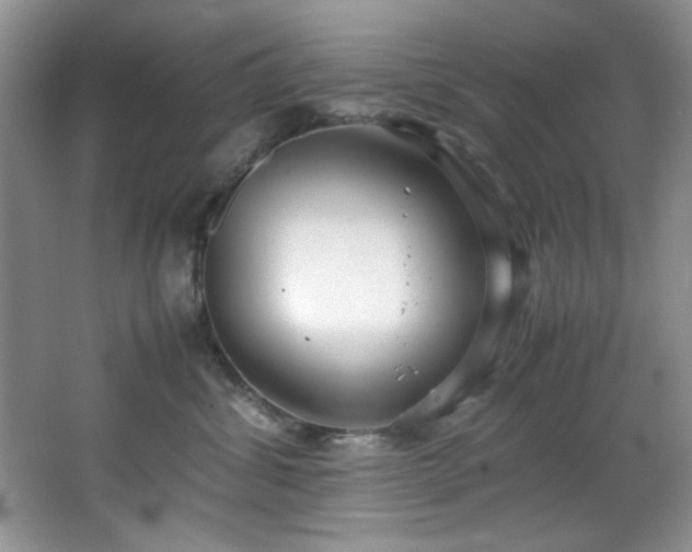 X0000066940428200603241147