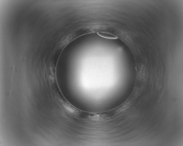 X0000066940430200603241147