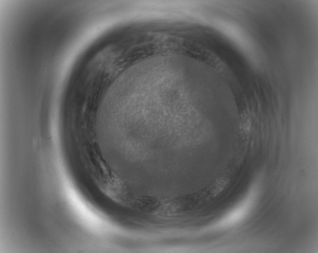 X0000066940431200603241147