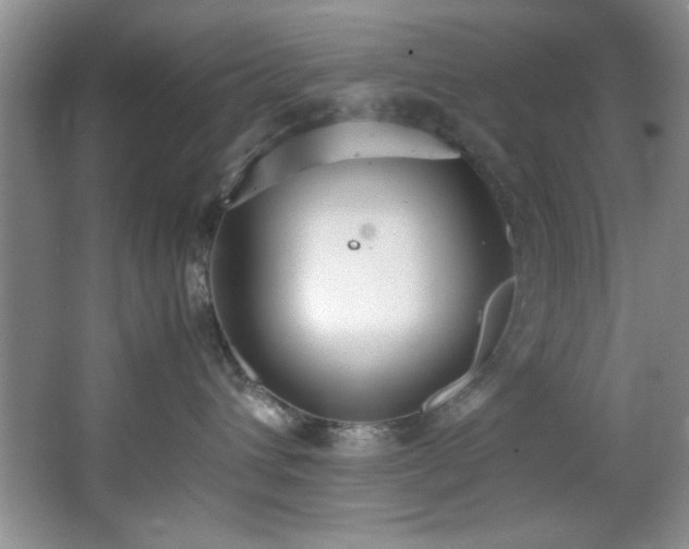 X0000066940432200603241147