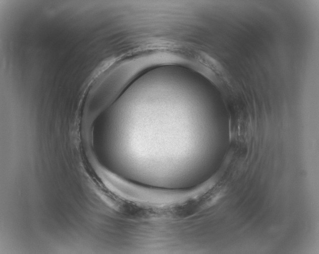 X0000066940436200603241146