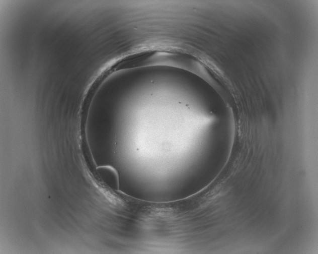 X0000066940438200603241146