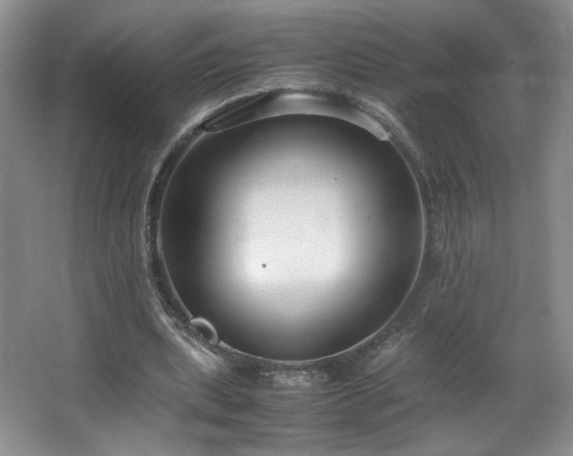 X0000066940439200603241146