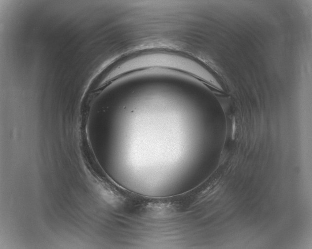 X0000066940440200603241146