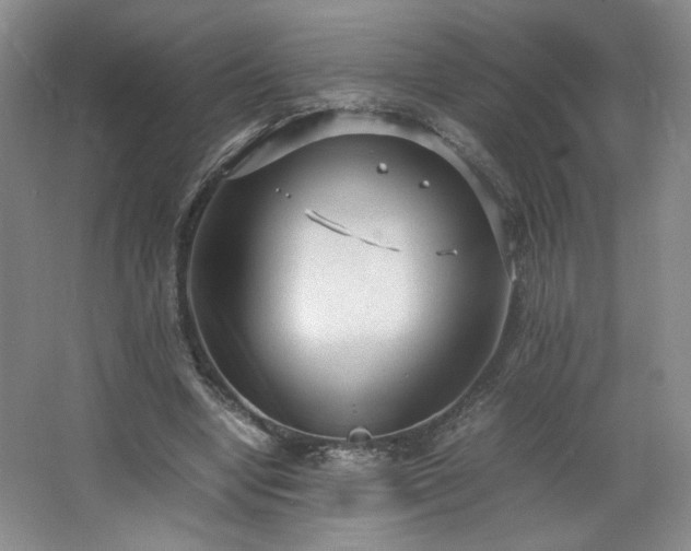 X0000066940442200603241146