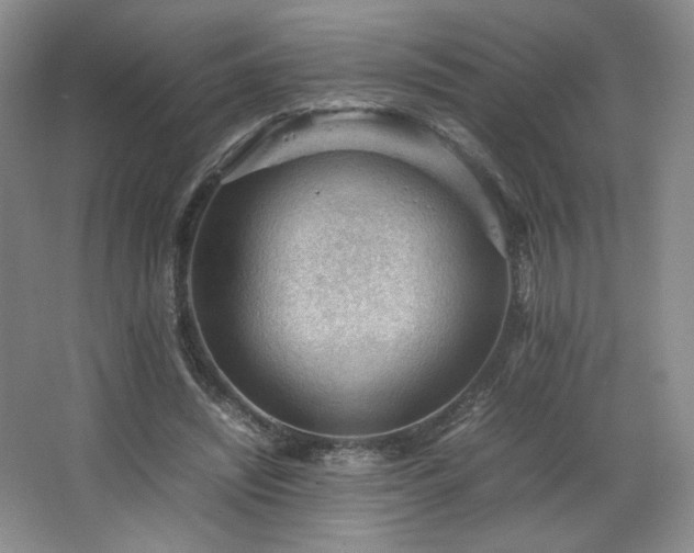 X0000066940444200603241146