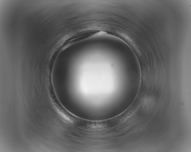 X0000066940445200603241146