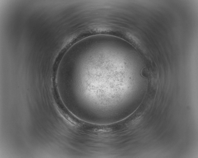 X0000066940447200603241146