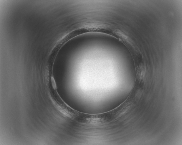 X0000066940448200603241146