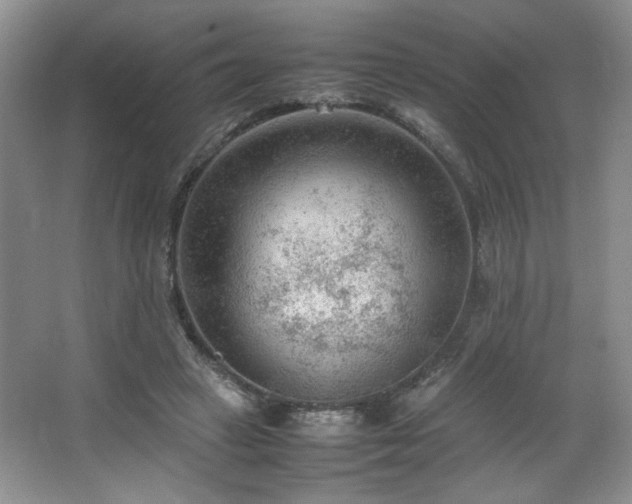 X0000066940449200603241146