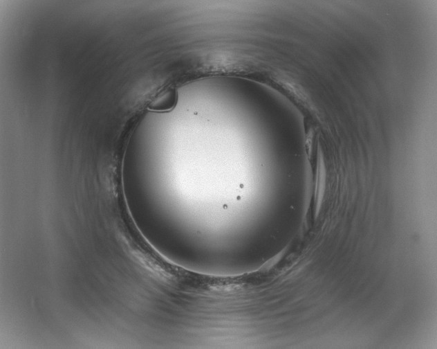 X0000066940450200603241146