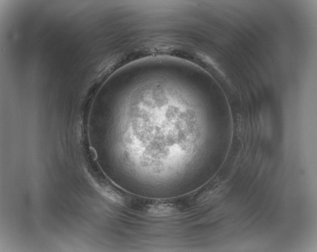 X0000066940451200603241146