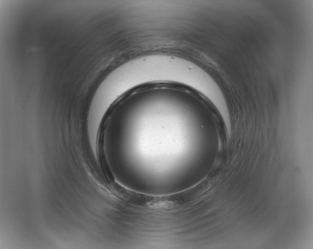 X0000066940452200603241146