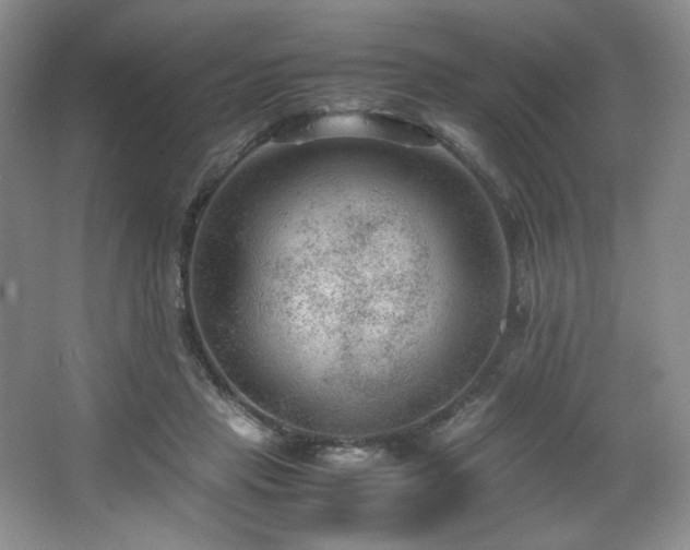 X0000066940453200603241146